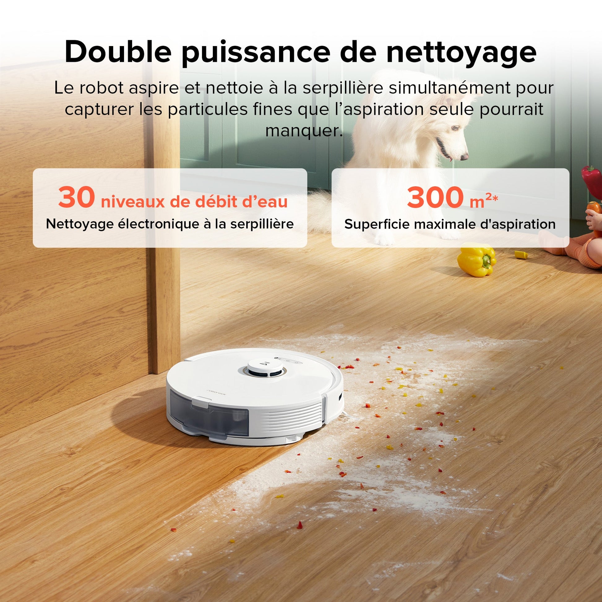 Roborock Q8 Max robot aspirateur