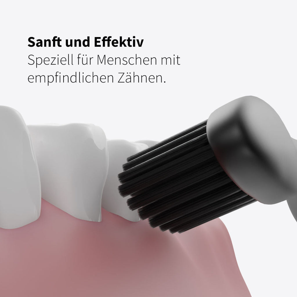 Bürstenkopf Basic Soft